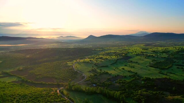 aerial sunrise view and forests aerial , flight at foggy sunrise , fly with drone at sunrise in the forest