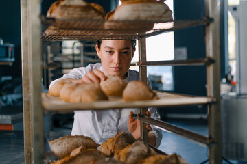attractive female baker between shelves looking and checking freshly baked bread very carefully in...