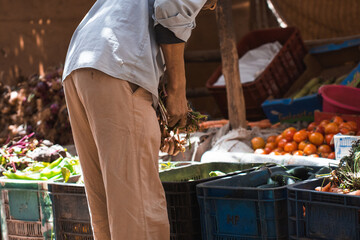 Cropped man choosing fruits in market
