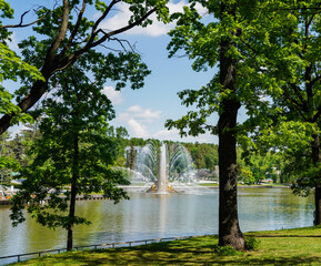 Naklejka premium fountain in the park