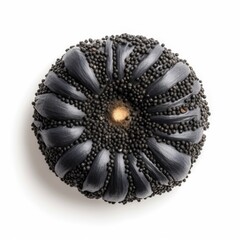 Poppy seeds isolated on white background. Generative AI