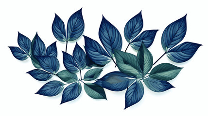 flower isolated on white, design elements, frames, calligraphic. Vector floral illustration with branches, berries, feathers and leaves. Nature frame on white background