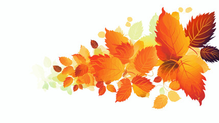 Naklejka na ściany i meble autumn leaves isolated on white, design elements, frames, calligraphic. Vector floral illustration with branches, berries, feathers and leaves. Nature frame on white background