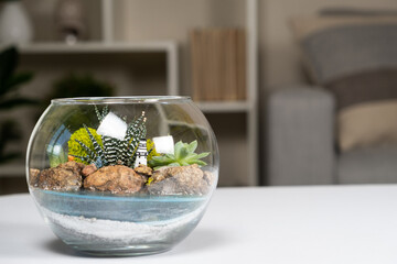 Florarium - a glass round vase with succulents on the table in the room.
