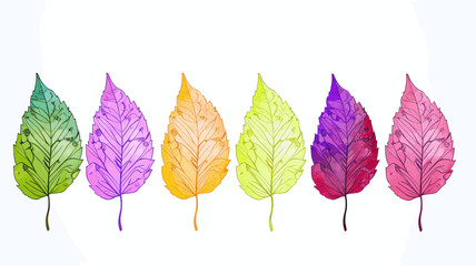 autumn leaves, design elements, frames, calligraphic. Vector floral illustration with branches, berries, feathers and leaves. Nature frame on white background, pride