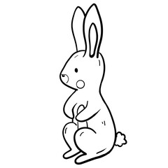 A cute little rabbit in the field