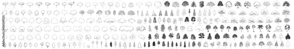 Poster Minimal style cad tree line drawing, Side view, set of graphics trees elements outline symbol for architecture and landscape design drawing. Vector illustration in stroke fill in white. Tropical, oak