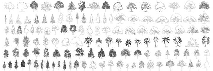 Minimal style cad tree line drawing, Side view, set of graphics trees elements outline symbol for architecture and landscape design drawing. Vector illustration in stroke fill in white. Tropical, oak