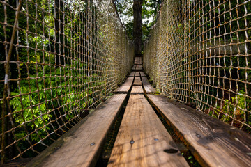 Wooden suspension bridge leading from tree to tree with network from frog perspective. Treetop...
