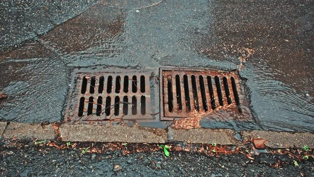 Rain Water Flowing Down Street Storm Sewer Drain Inlet