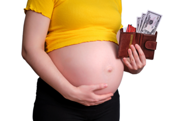 Dollars and credit cards in a pregnant woman wallet, isolated on a white background