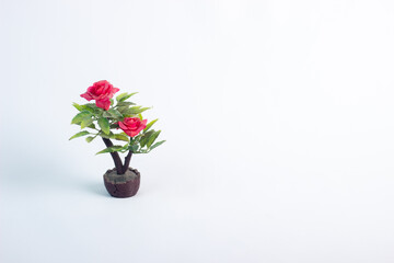 Mini pot flower ornament isolated on white background.