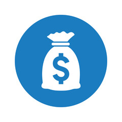 Capital, money, money bag icon .