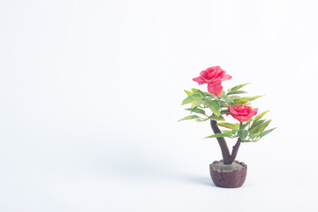 Mini pot flower ornament isolated on white background.