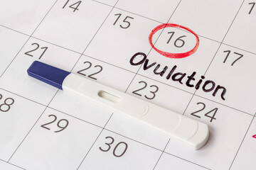 Female ovulation day on calendar with pregnancy test