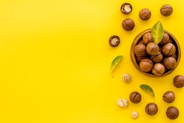 Shelled macadamia nuts in bowl with green leaves. Protein food