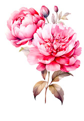 watercolor peony, bouquet, ai generated