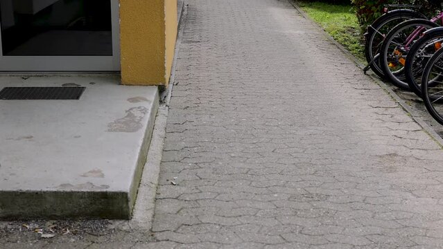 people walking with dogs in park,or riding the bike.many bikes next to building in parking lot.green nature spring time.borzoi SILKEN WINDHOUND gray big canine or rough collie golden white, long hair