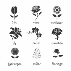 Free vector flower icons collection - obrazy, fototapety, plakaty