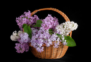 Multi colored lilac in a wicker basket