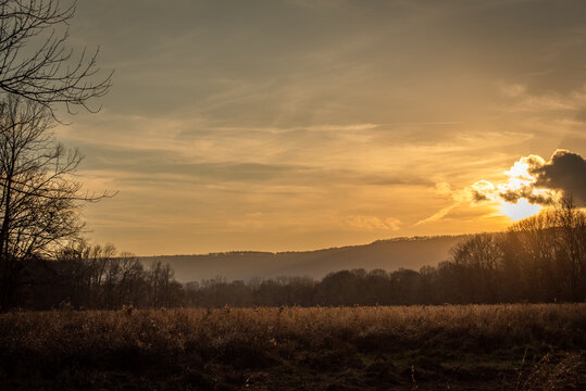 Beautiful sunset over a golden field.