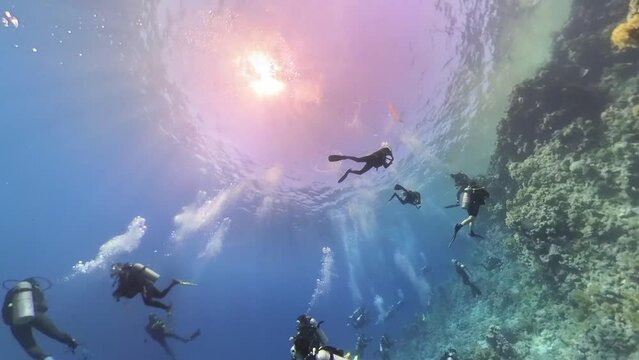 Divers on their safety stop at the end of a dive in the Red Sea, Egypt