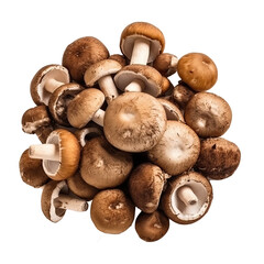Fototapeta premium mushrooms isolated on transparent background. Generative AI.