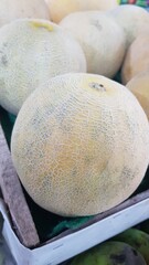 melon on the market