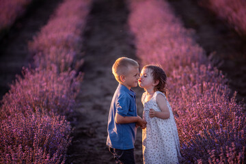 Close-up portrait of little boy kissing girl on the cheek in purple lavender field. Cute couple