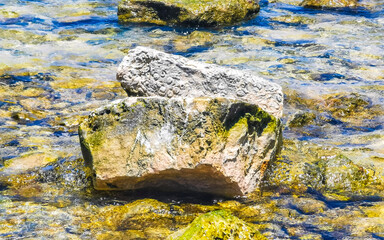 Stones rocks corals turquoise green blue water on beach Mexico.