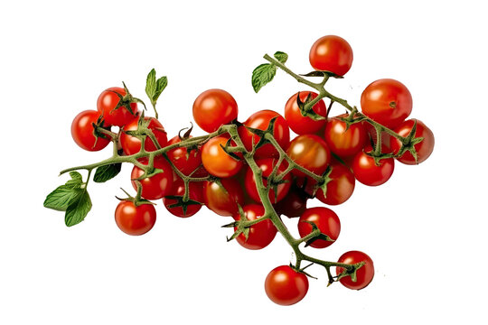 a sprig of red tomatoes on transparent background. generative AI.