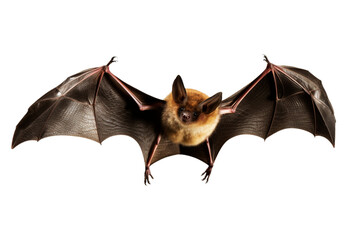 Bat on transparent background. Generative AI.