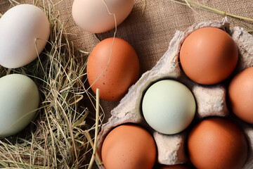 Different colour eggs on some hay