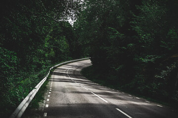 road in the forest