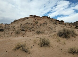 landscape in the desert