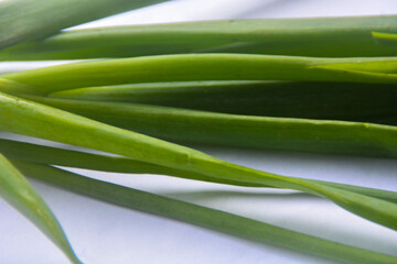 Obraz premium close up view of the root of leeks, has fibrous roots. The roots of leeks that have been taken and the remaining roots when soaked in water and then replanted can grow back and we can use them again.