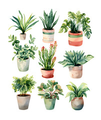 Collection of watercolors depicting assorted indoor plants in various pots, capturing the lush greenery and vitality of houseplants