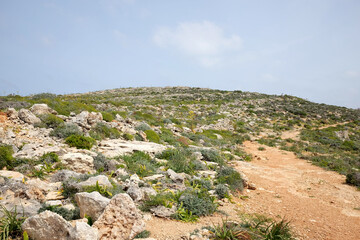 Fototapeta na wymiar マルタ共和国　ゴゾ島の丘