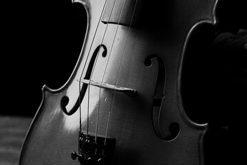 Violin, details of a beautiful violin in black and white on rustic wood, low key style photo, black...
