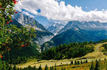 Natural view of the Chamonix valley and mountains - obrazy, fototapety, plakaty