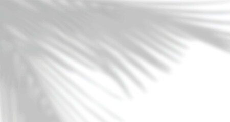 Naklejka premium Realistic blurred natural light leaves, palm and window shadow overlay on wall paper or frames texture, abstract background, summer, spring, autumn for product presentation podium and mockup seasonal.