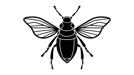 Fototapeta premium Vector black silhouette of a beetle isolated on a white background.