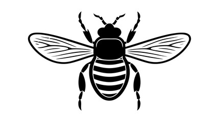 Vector black silhouette of a beetle isolated on a white background.