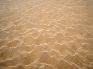 Fototapeta na wymiar Textured background of the golden sand of a dune