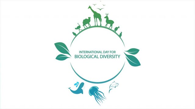 Biological Diversity Day International logo with animals, art video illustration.