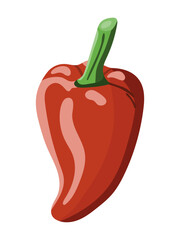 red paprika agriculture element ecological pepper farming ripe vegetable concept food isolated flat vector cartoon illustration