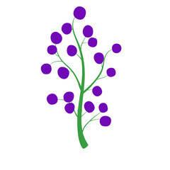 simple flat berry branch purple