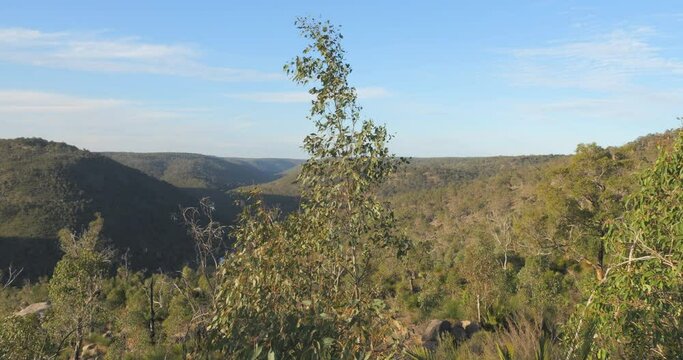 Australian Bush Scenes Avon Valley