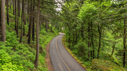 Fototapeta na wymiar Winding Forest Road - A high-angle view of the Historic Columbia River Highway winding through lush temperate rain forest on a stormy Spring day. Columbia River Gorge, Oregon, USA.