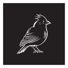 Obraz premium cardinal bird vector logo - black and white . Abstract drawing Vector illustration 